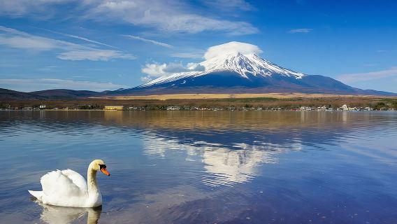 Tagesausflug zum Berg Fuji: Bootsfahrt auf dem Lake Yamanaka, Erkundung der 5. Station und des Ōishi-Parks