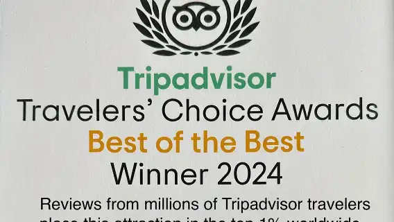 Guided Tampa Sightseeing Tour in a Deluxe Street Legal Golf Cart