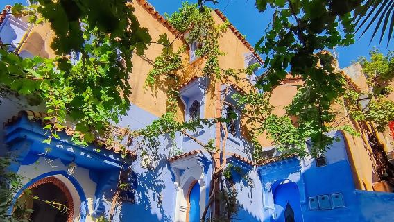 Chefchaouen Private Tour from Tangier One Full Day!