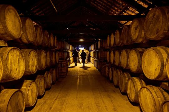 Cork Midleton Distillery: Pengalaman Jameson & Mencicipi Whiskey