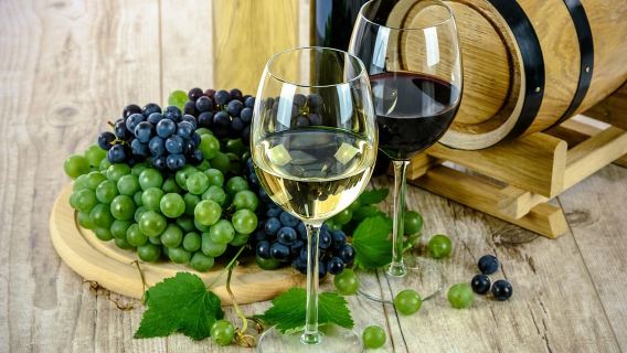 Exclusive tour to Peña de Bernal and Freixenet vineyards from CDMX