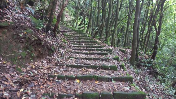 Kathmandu: Nagarjun Jamacho Monastery Guided Hike