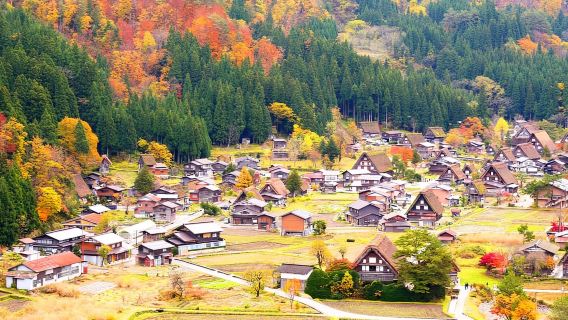 From Nagoya: Shirakawa-go & Hida-Takayama Full Day Trip