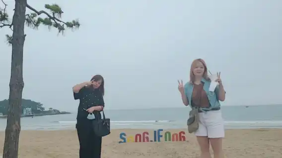 釜山：慶州共享日落之旅，最多 15 位客人