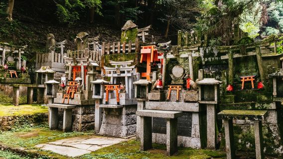 Kyoto: escursione di 3 ore alla scoperta del santuario nascosto di Fushimi Inari