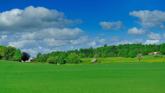 瑞典+斯德哥爾摩大教堂+皇后島宮一日遊/行程可調-可定制多日