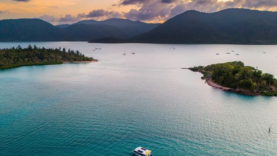 Airlie Beach: Crucero al atardecer con bebida y vistas desde abajo