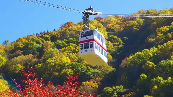 高山発:新穂高ロープウェイと上高地ツアー