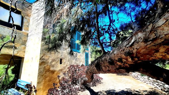 Gozo Unveiled Hiking: A Guided Hike tour in Gozo/Comino