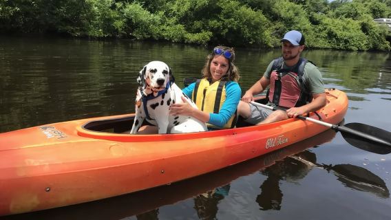 Kitty Hawk : Location de kayaks et de SUP à l'heure