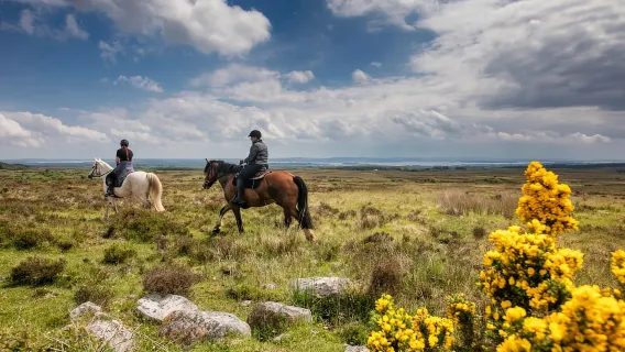 Menunggang kuda di jalur tanah. Clare. Dipandu. 1 jam