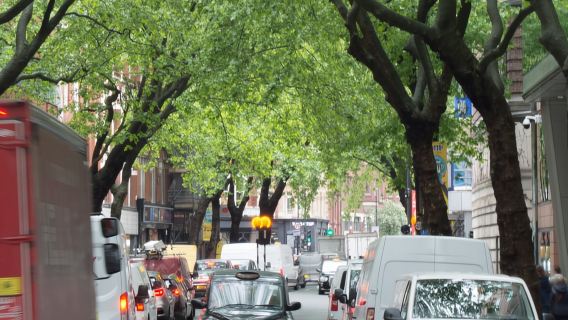 倫敦：西區攝影健行之旅（附導遊）