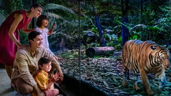 新加坡夜間野生動物園夜遊 + 私人來回接送