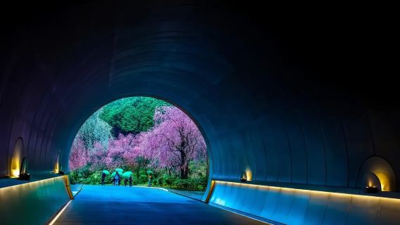 日本滋賀：清水寺+比叡山+金閣寺+龍安寺+北野天滿宮+臨濟宗 大本山 妙心寺