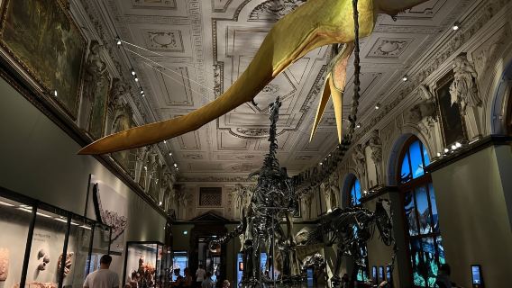 私人導覽維也納自然史博物1小時中文導覽 不含門票-諮詢客服預約