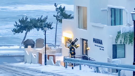 單人198全程跟拍網紅線2-8人團【大小同價】