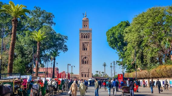 Marrakech Art and Architecture Tour in Morocco (with English-speaking Driver)