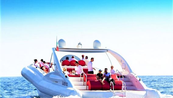 Luxury Opera 60 Whale & Dolphin Watching Experience