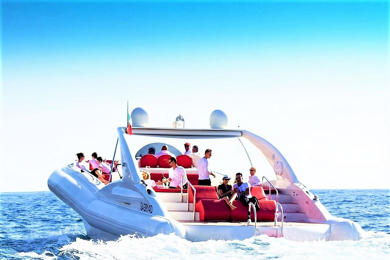 Experiencia de avistamiento de ballenas y delfines en el Opera 60 de lujo