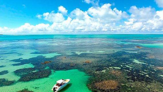 Full-Day Visit to Paripueira Beach and Tide Pools in Maceió