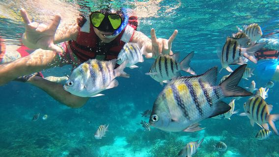 3 Hours VIP Semiprivate Tour Isla Mujeres Full Snorkeling Experience