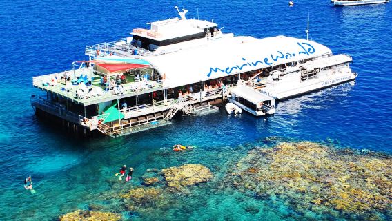 Cairns Reef Magic Moore Reef Great Barrier Reef one-day tour Cruise