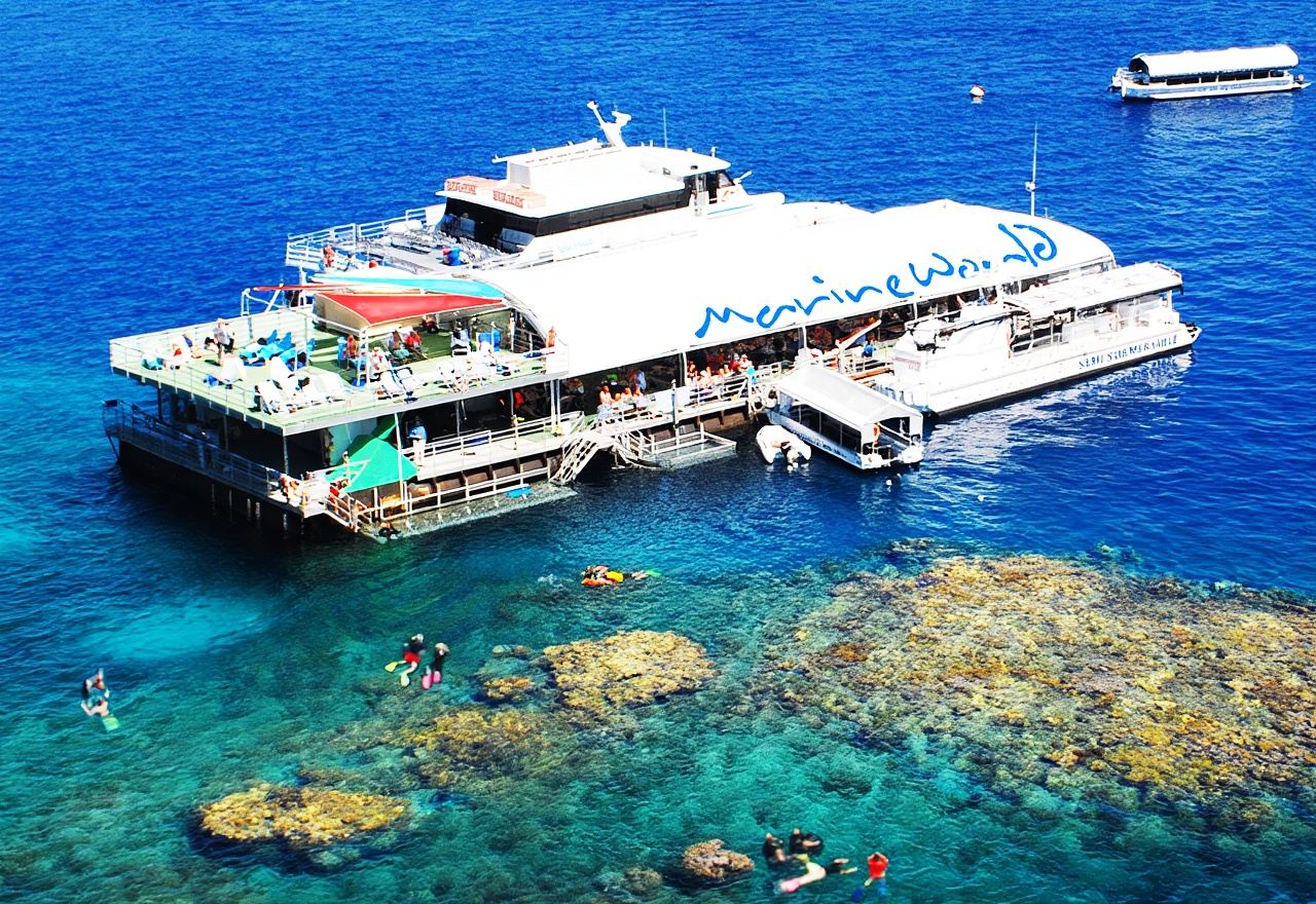 Cairns Reef Magic Moore Reef Great Barrier Reef day tour round-trip cruise