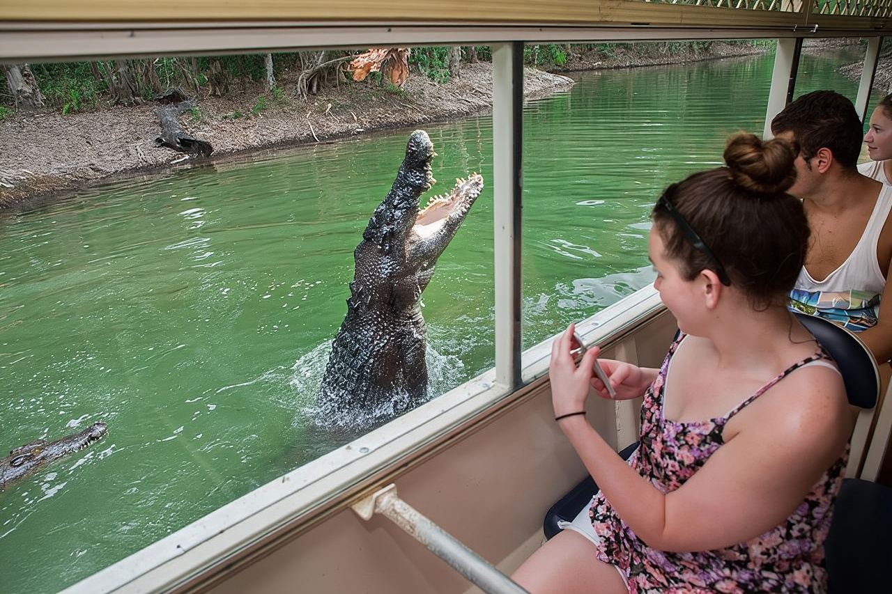 Excursión de un día a Hartley's Crocodile Adventures desde Cairns