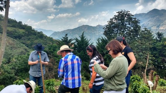 Private Half-Day Coffee Tour at Family Farm Close to Medellín!