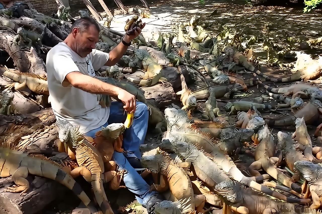 Half-day Manzanillo City Tours