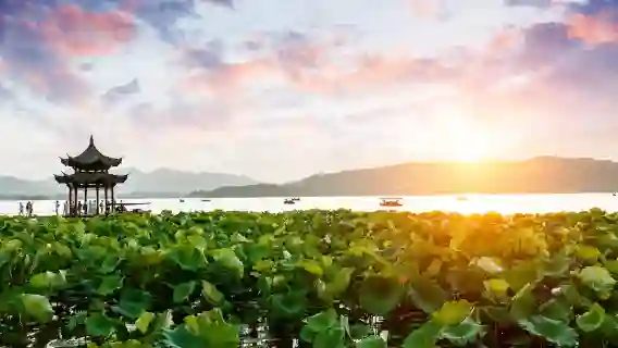 西湖+靈隱寺+西溪濕地+宋城+印象西湖眾多景區可自選（杭州導遊講解服務）