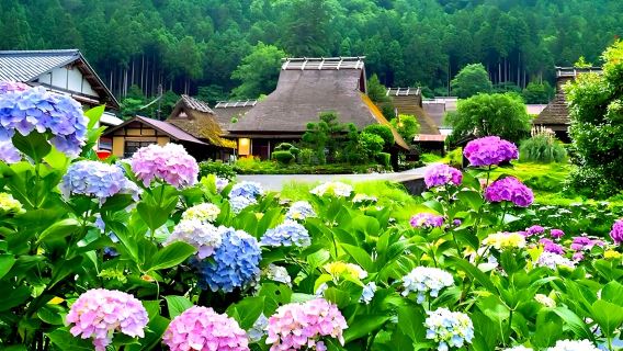 Kyoto in One Day: Amanohashidate, Ine Funaya & Miyama Thatched Village