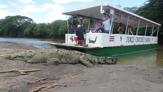 Safari de cocodrilos en la selva y avistamiento de aves/Río Tarcoles CR