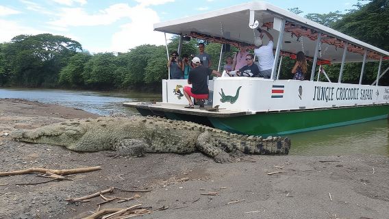 Jungle Crocodile Safari: Tarcoles River Crocodile Tour