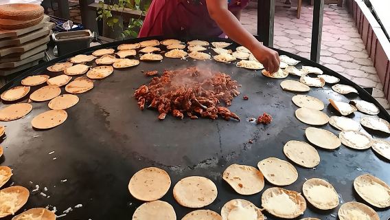 Authentic Mexican Legacy Cooking Class in Cabo San Lucas