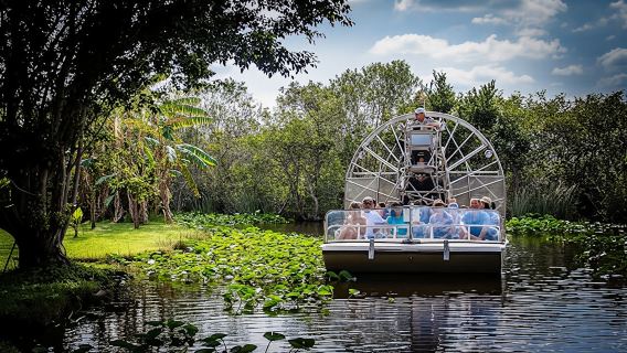 Chuyến đi thuyền máy Everglades với tour tham quan Vịnh Biscayne và phương tiện di chuyển
