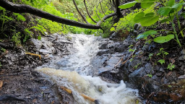 Waterfalls of Gran Canaria hiking tour with pickup and lunch