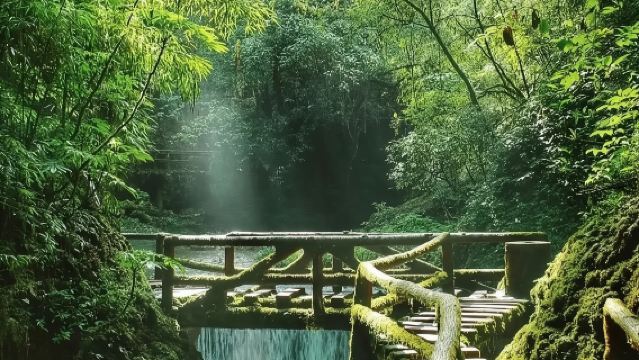【2-8人私家團】青城後山一日遊*含門票*成都三環內接駁