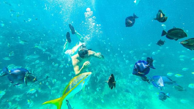 Exclusieve snorkeltocht in Punta Cana, alleen voor volwassenen, inclusief eten en drinken.