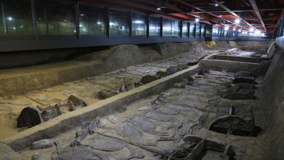 荊州楚王車馬陣設施(熊家塚國家考古遺址公園)導遊【人工深度講解研學親子營講解不拼團一對一服務高端