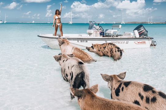 Exuma Elite Escape: Pengembaraan Mewah Terbang ke Pig Beach - 7 Hentian