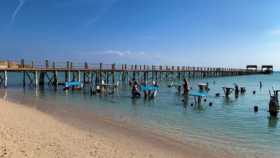 Orange Island Cruise: Snorkel Adventure, Aqua Fun & Island Feast