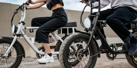 蒙特利爾電動單車觀光導賞團