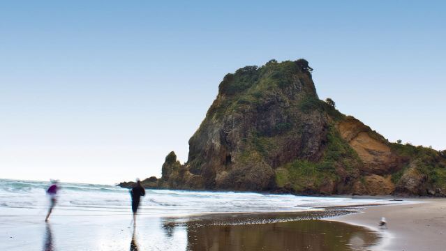 Auckland City Highlights, Afternoon Piha Beach & Rainforest Tour