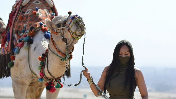 Meilleure excursion d'une journée aux pyramides et à Saqqarah avec photographe professionnel
