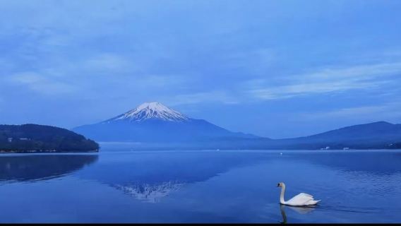 日本東京+富士山一日遊