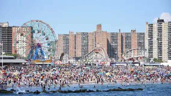 Sydney Harbour: A Self-Guided Audio Tour to Lavender Bay