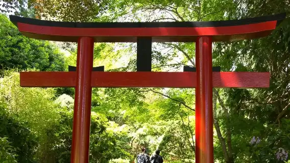 維多利亞＆海灣群島遊船巡航＆布查德花園之旅（溫哥華出發）