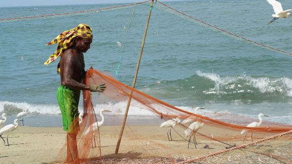 Negombo Private Tour: Market, Temples & Canal