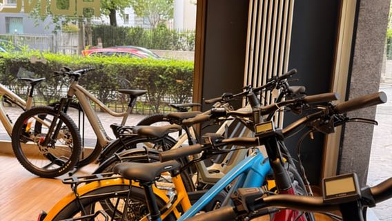 Bergamo and Upper Town: E-bike rental